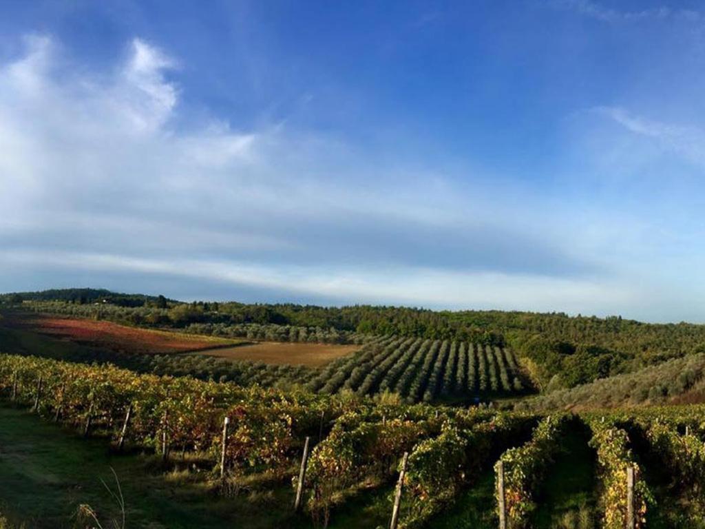 Podere La Casetta - Casa Di Campagna Montaione Extérieur photo