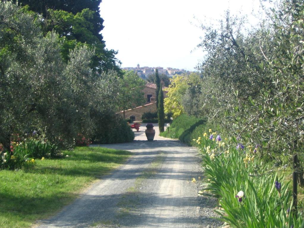 Podere La Casetta - Casa Di Campagna Montaione Extérieur photo