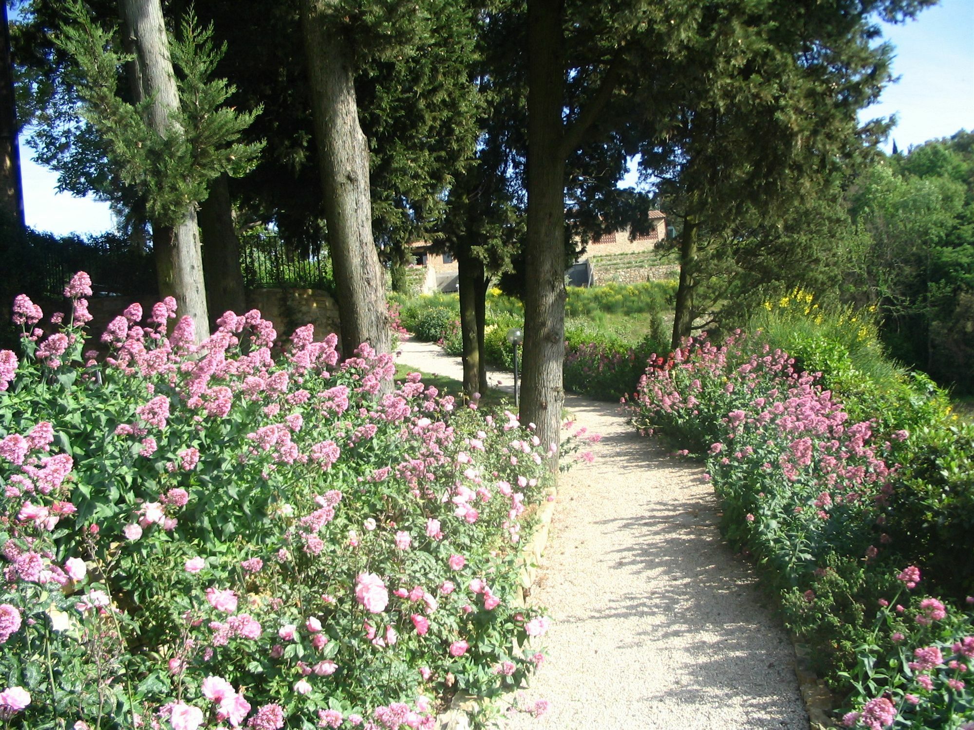 Podere La Casetta - Casa Di Campagna Montaione Extérieur photo